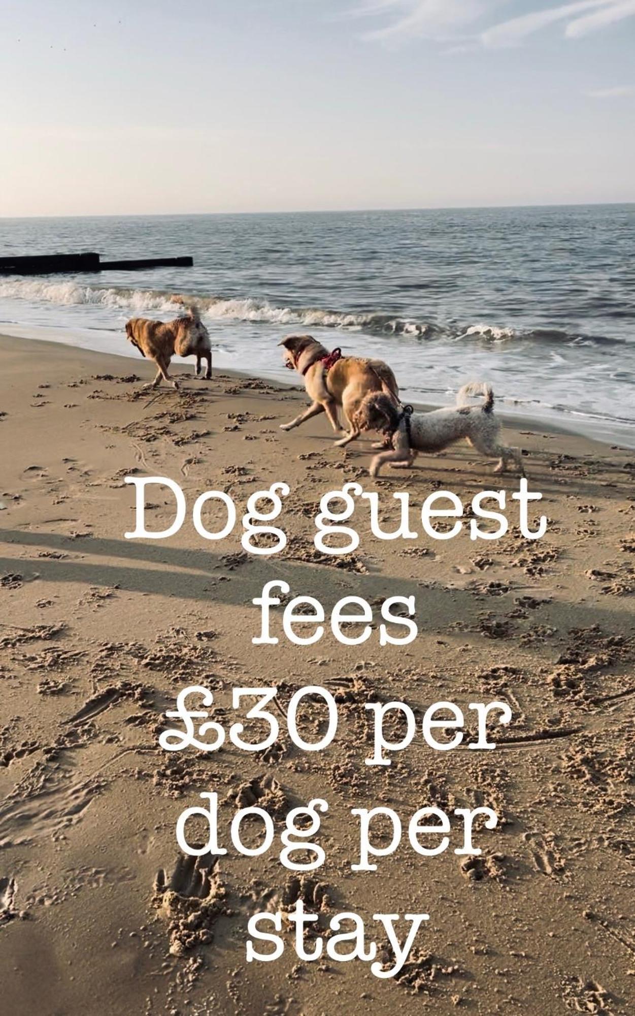 Sea Palling Coastal Terrace Dogs Welcome Optional Hot Tubヴィラ エクステリア 写真